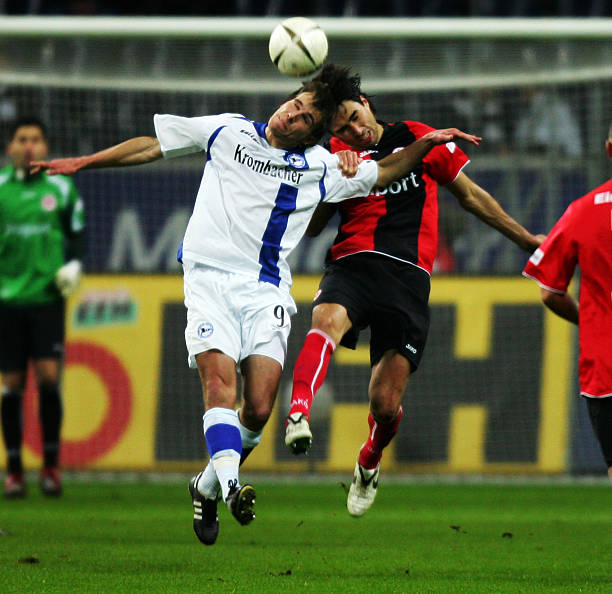 这一诱人的 这一诱人的